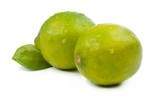 Limes geïsoleerd — Stockfoto