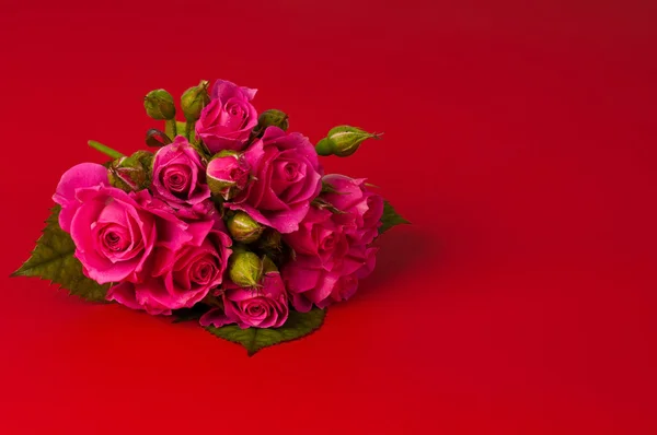 Roses on red background — Stock Photo, Image