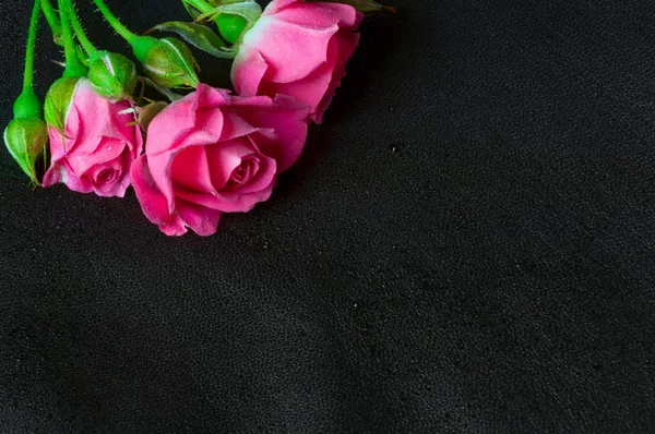 Roses on wet black leather — Stock Photo, Image