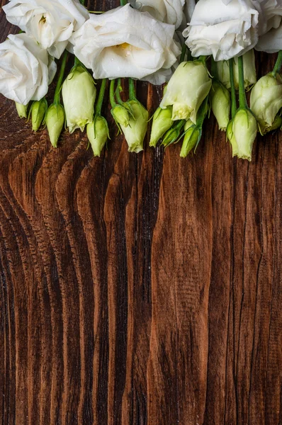 Eustoma on wooden background — Stock Photo, Image