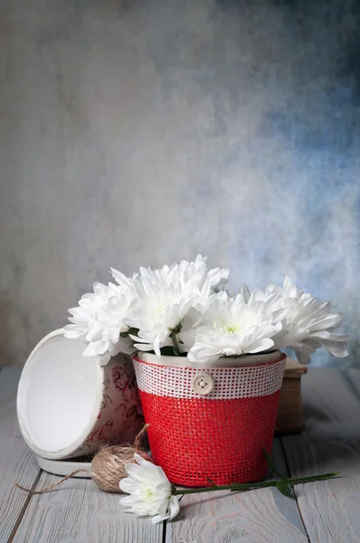 Chrysanthemums in pot and a book — Stock Photo, Image