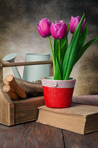 Tulips pot and garden tools — Stock Photo, Image