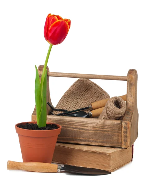 Tulipány v květináčích a zahradní nářadí izolované Stock Obrázky