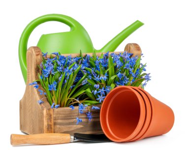 bifolia kutusu ve sulama izole olabilir