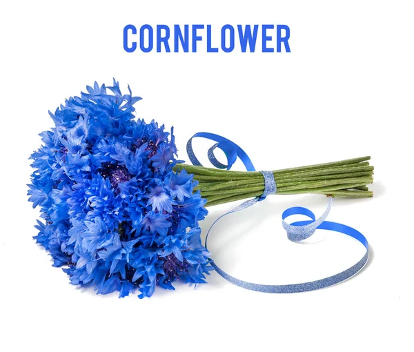 分離されたコーンフラワー花束 — ストック写真