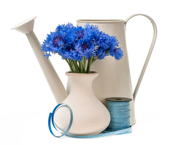 Bouquet de bleuet dans un vase et arrosage isolé sur fond blanc — Photo