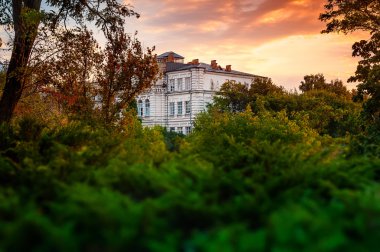 old building in trees