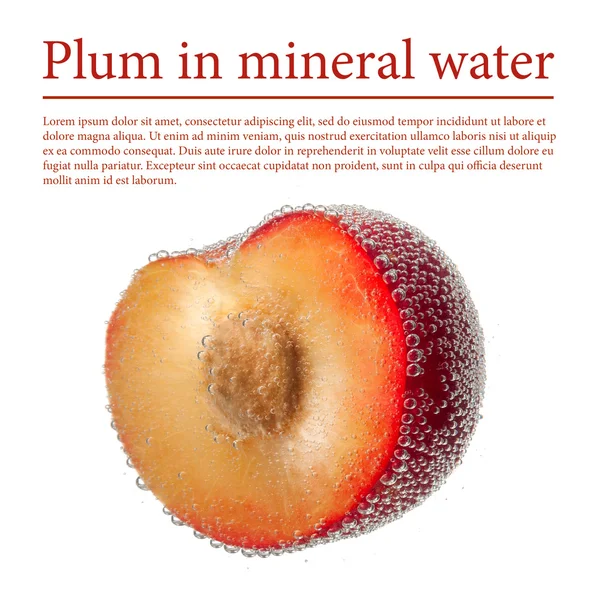 Plum in mineral water isolated — ストック写真