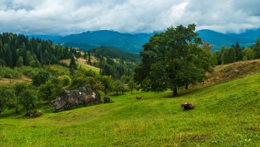 Dağlar'ın eski evde