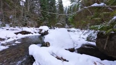 Karpatlar 'daki dağ nehri