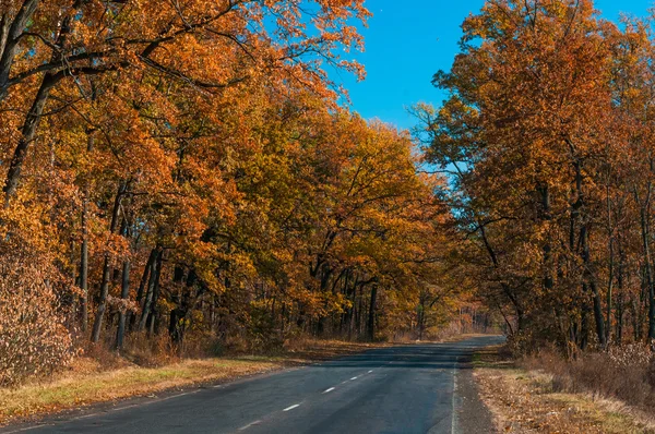 Strada rurale in autunno — Foto Stock