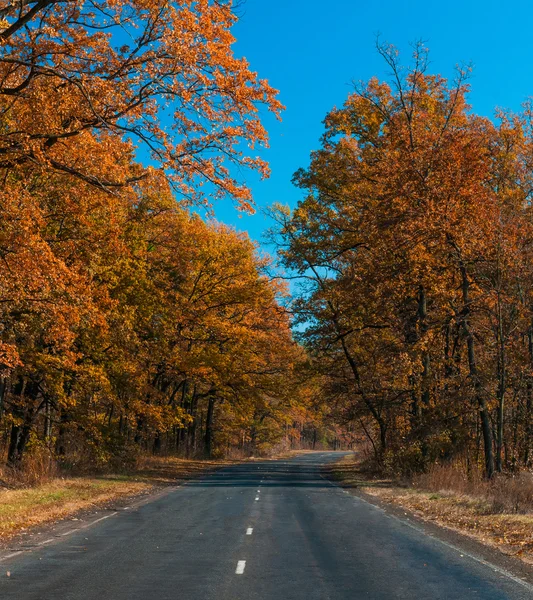 Strada rurale in autunno — Foto Stock