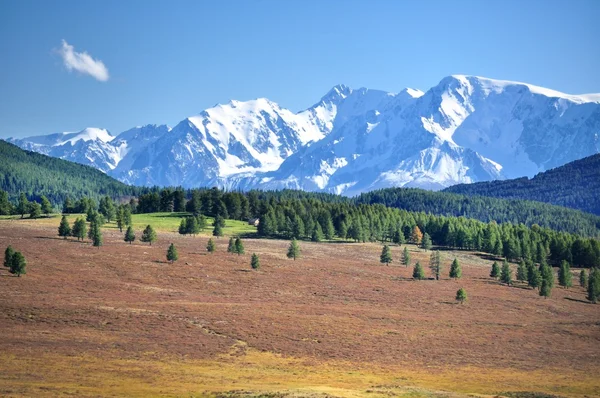 Kurkurek Dağı'nda Altay