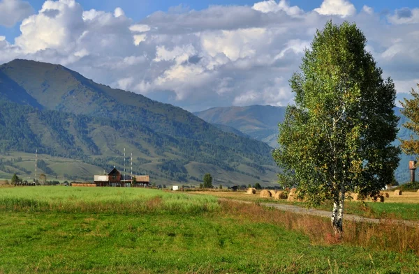 Ust-Koksa village yakınındaki dağ manzarası