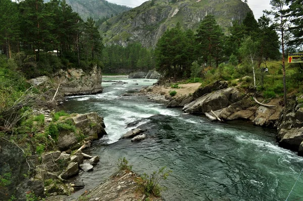 Fiume di montagna Chemal — Foto Stock