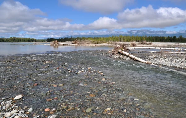 After the flood on the river Katun — Stock Photo, Image