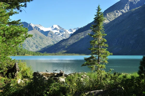 Ortalama multinskoe Gölü