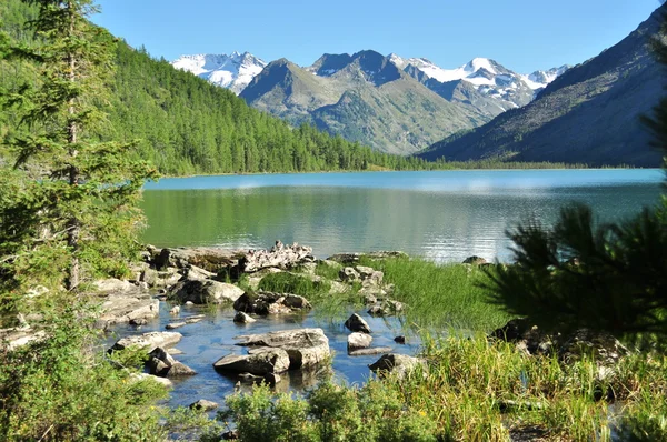 Ortalama multinskoe Gölü