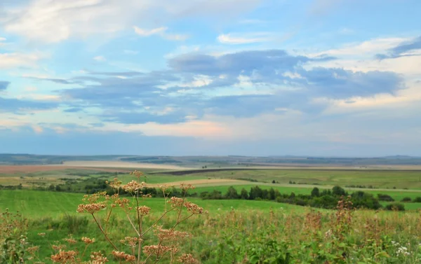 Pastoral gün batımı