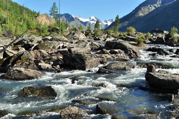 Gürültülü akışı