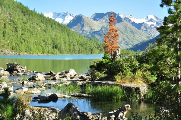 Ortalama multinskoe Gölü