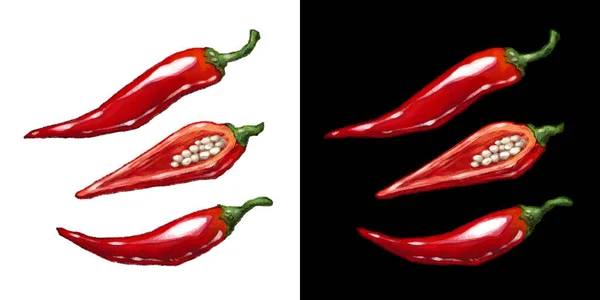 Red Pepper Paprika Hand Drawn Watercolor Illustration Isolated White Black — Stock Photo, Image