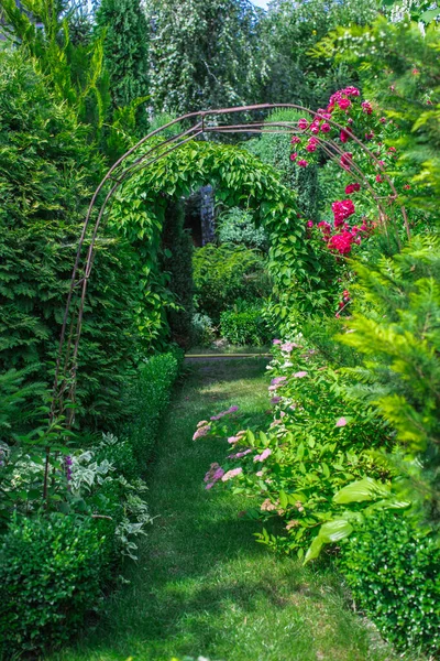 Красивый Зеленый Сад Деревне — стоковое фото