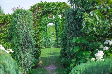                               Yazın çok güzel bir bahçe.      