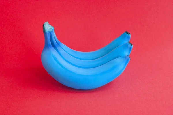 Fechar Bananas Azuis Fundo Vermelho — Fotografia de Stock