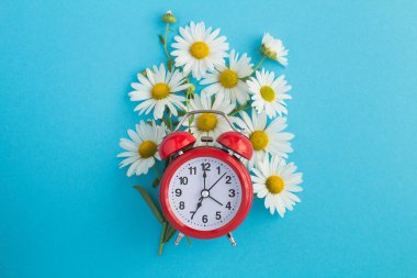 Kırmızı alarm saati ve mavi arkaplanın ortasında beyaz papatya buketi.