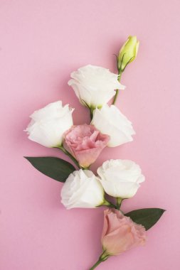 Pembe arka planda çiçekler. Konum dikey.