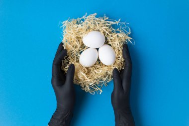 Mavi arka planda pipet yuvasında beyaz tavuk yumurtaları olan siyah eldivenli kadın eller.