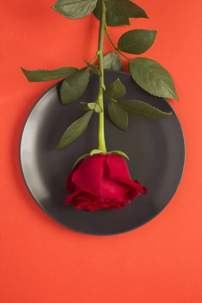 Primo Piano Sulla Rosa Rossa Sulla Piastra Nera Sullo Sfondo — Foto Stock