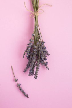 Pembe arka planda kuru lavanta çiçekleri. Konum sözel.