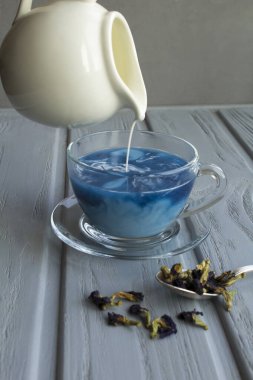 Mavi Tayland çayı, gri arka planda cam bardakta süt. Yakın plan..