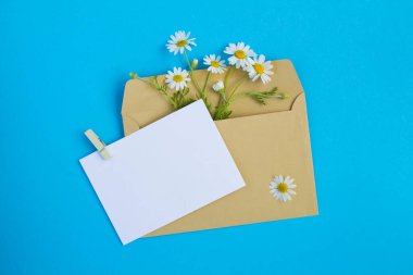 Mavi arka planda, boş beyaz kağıt için metin ve papatya çayı manzarası. Boşluğu kopyala.