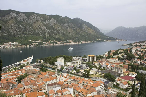 Panoramic View City Bay Summer Day Kotor Montenegro — Stock Photo, Image