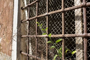 Terk edilmiş bir evde metal parmaklıklar ile pencereye yakın çekim