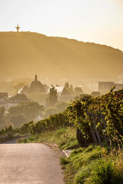 Nach Hause kommen (1) — Stockfoto