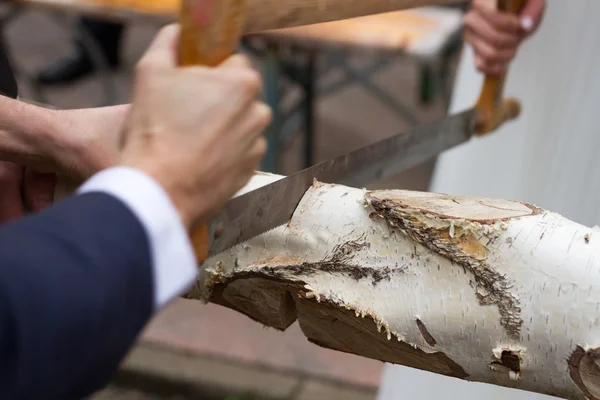 Sawing Birch (1) — Stock Photo, Image