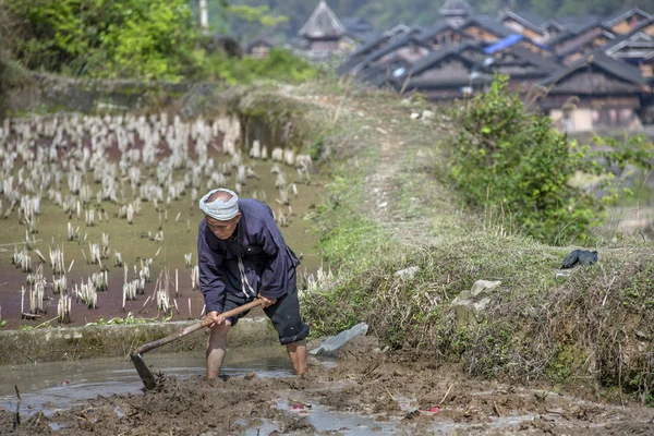 Chinese farmer works the soil in rice paddy using mattock. — Stock Photo, Image