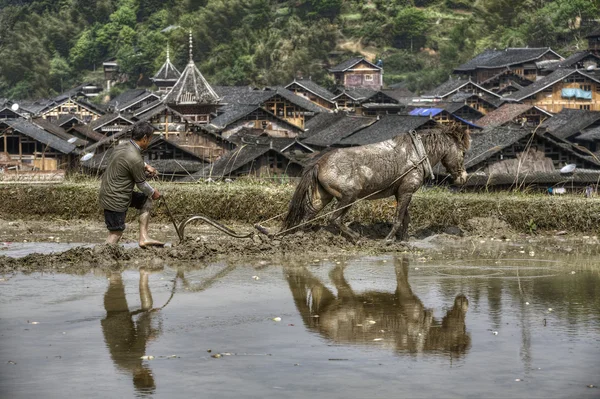 Gecultiveerd land, boer achter een ploeg die paard, china trekt. — Stockfoto