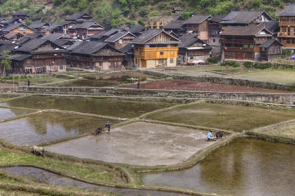 Chinesische Bauern arbeiten auf einem überfluteten Feld in der Nähe eines Dorfes. — Stockfoto