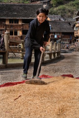 Tahıl, Kuru kumaş üzerine dağılmış Çinli kadın onun fırlattı.