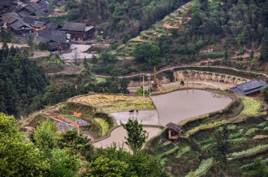 Paddy alan Köyü, Guizhou, Çin yakınlarındaki bir tepe üzerinde.