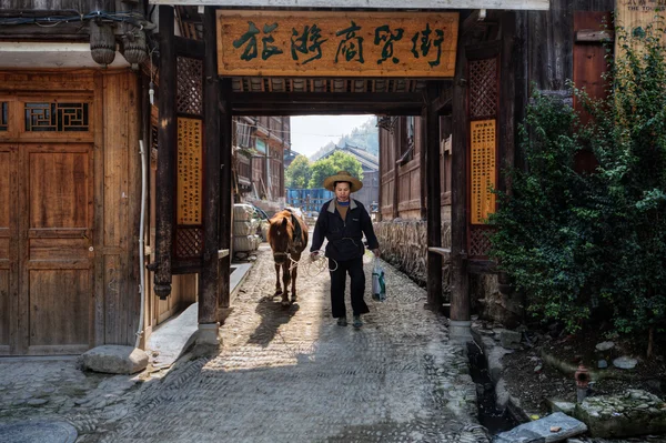 Chinese men in wide-brimmed rattan hat keeps horse in about. — Stock Photo, Image