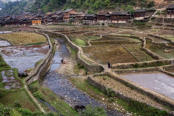 Canal passando attraverso campi di riso vicino villaggio, Zhaoxing, Guizhou, Cina sud-occidentale . — Foto Stock