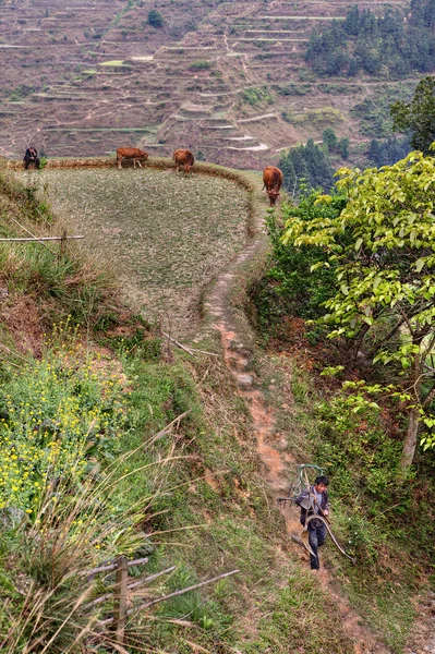 Terras cultivadas em montanhas no sudoeste da China, terraços de arroz, província de Guizhou . — Fotografia de Stock