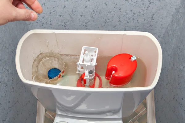 Bir temizleyici su boşaltma tankı tuvalet kase aşağı el. — Stok fotoğraf
