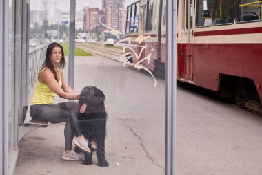 Briard ve kadın tren istasyonunda bekliyorlar..